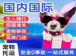 塔什库尔干红其拉甫机场物流国际宠物托运 【国